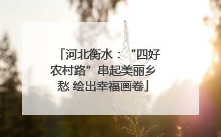 河北衡水：“四好农村路”串起美丽乡愁 绘出幸福画卷